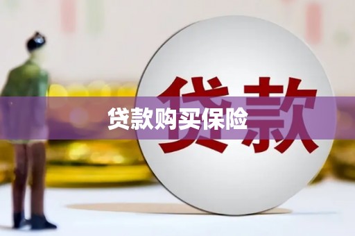 红山贷款购买保险