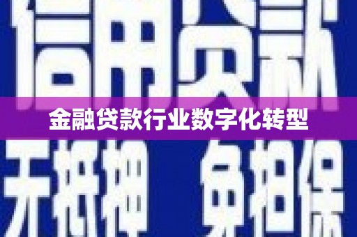 新港金融贷款行业数字化转型