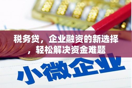 延吉税务贷，企业融资的新选择，轻松解决资金难题