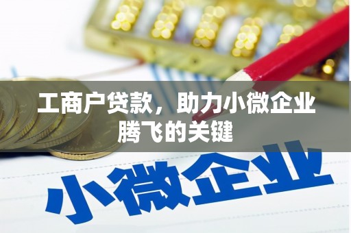 特克斯工商户贷款，助力小微企业腾飞的关键