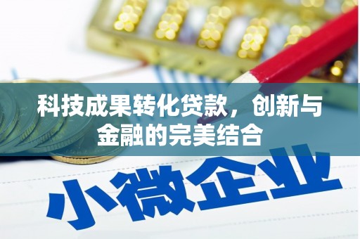 西贡科技成果转化贷款，创新与金融的完美结合