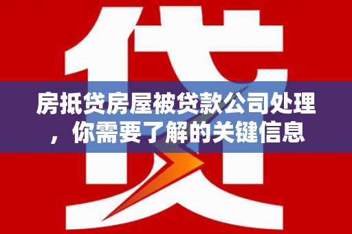 南乐房抵贷房屋被贷款公司处理，你需要了解的关键信息