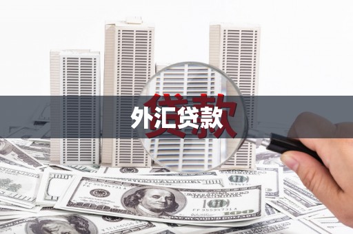 清浦外汇贷款