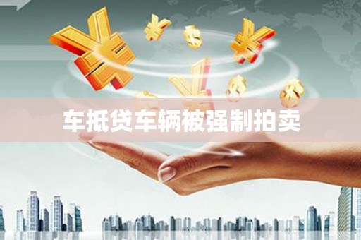 广德车抵贷车辆被强制拍卖