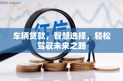 大内车辆贷款，智慧选择，轻松驾驭未来之路