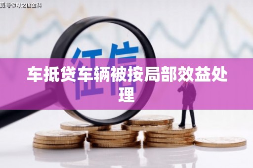 嵊州车抵贷车辆被按局部效益处理
