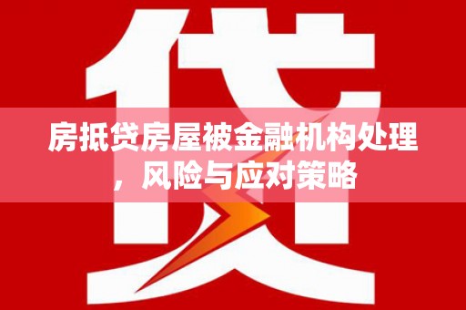 从化房抵贷房屋被金融机构处理，风险与应对策略