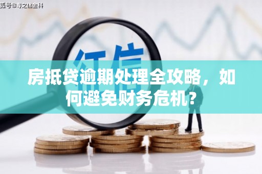 东丽房抵贷逾期处理全攻略，如何避免财务危机？