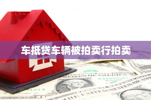 泸州车抵贷车辆被拍卖行拍卖