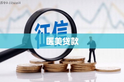 泸州医美贷款
