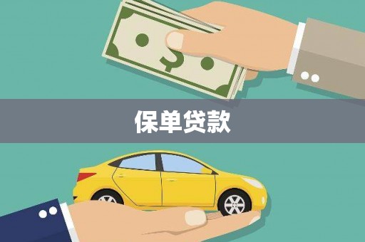 盖州保单贷款