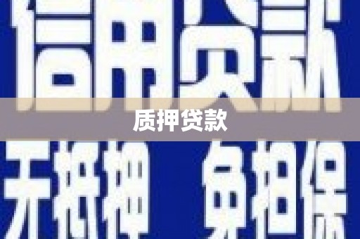 平凉质押贷款