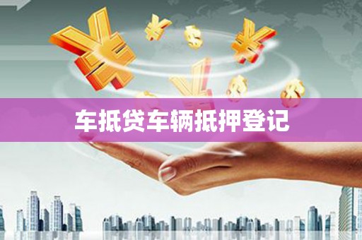 安吉车抵贷车辆抵押登记