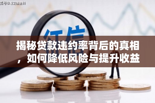 尚志揭秘贷款违约率背后的真相，如何降低风险与提升收益