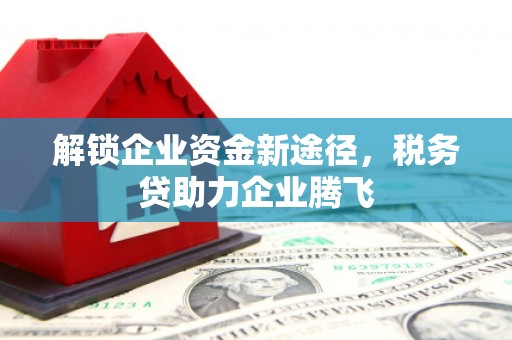 张北解锁企业资金新途径，税务贷助力企业腾飞