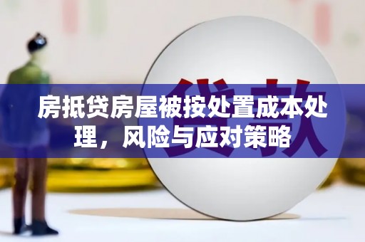 南陵房抵贷房屋被按处置成本处理，风险与应对策略