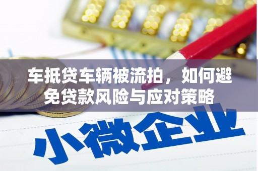 田尾车抵贷车辆被流拍，如何避免贷款风险与应对策略
