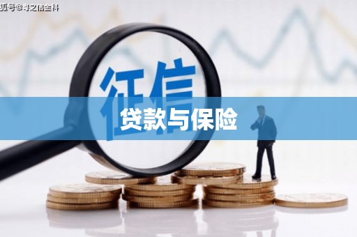诏安贷款与保险