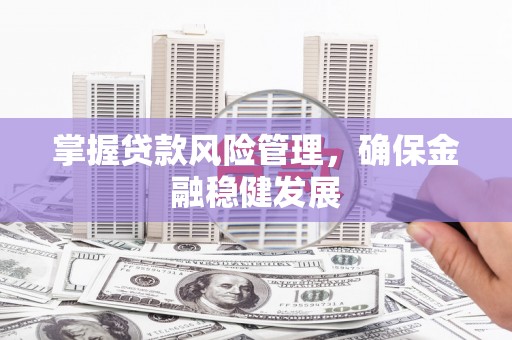 明港掌握贷款风险管理，确保金融稳健发展