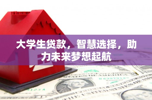 阿拉善盟大学生贷款，智慧选择，助力未来梦想起航