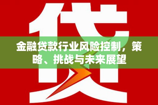 金州新区金融贷款行业风险控制，策略、挑战与未来展望
