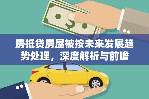 普宁房抵贷房屋被按未来发展趋势处理，深度解析与前瞻