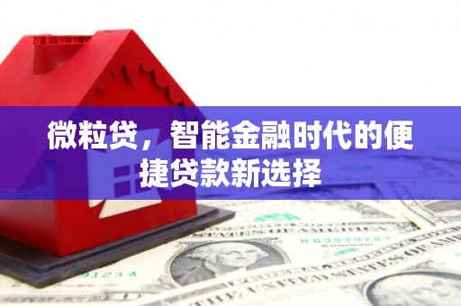 普宁微粒贷，智能金融时代的便捷贷款新选择