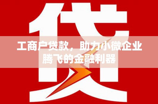 双江工商户贷款，助力小微企业腾飞的金融利器