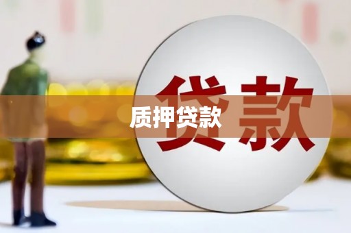 西丰质押贷款