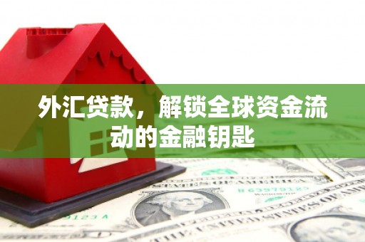 文水外汇贷款，解锁全球资金流动的金融钥匙