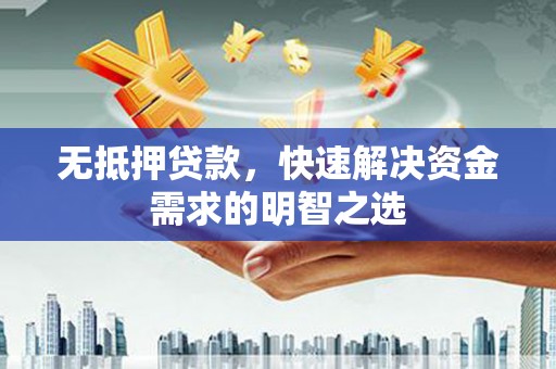 南皮无抵押贷款，快速解决资金需求的明智之选