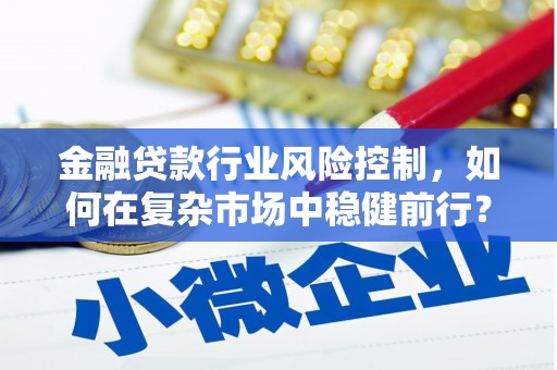 云南金融贷款行业风险控制，如何在复杂市场中稳健前行？