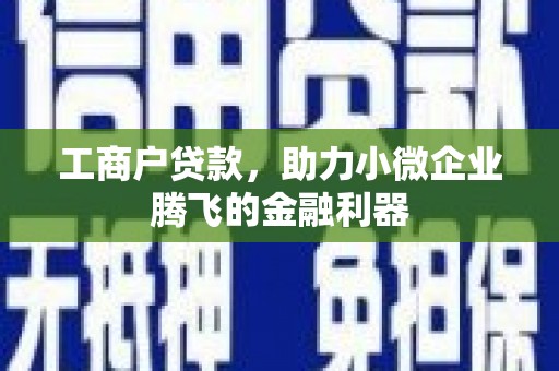 墨脱工商户贷款，助力小微企业腾飞的金融利器