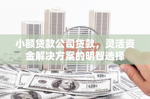 金安小额贷款公司贷款，灵活资金解决方案的明智选择
