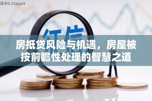 乌来房抵贷风险与机遇，房屋被按前瞻性处理的智慧之道
