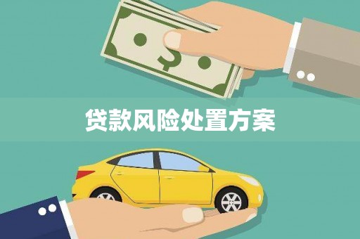 临洮贷款风险处置方案