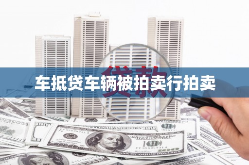 琼中车抵贷车辆被拍卖行拍卖