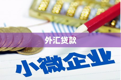 北辰外汇贷款