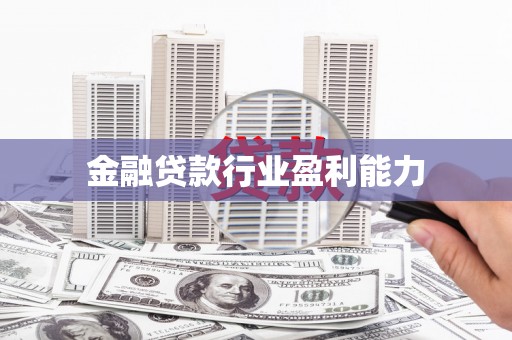 南宁金融贷款行业盈利能力