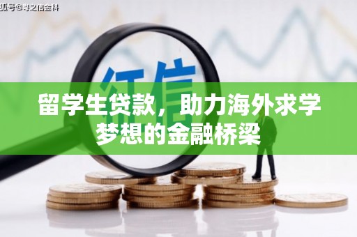 拜泉留学生贷款，助力海外求学梦想的金融桥梁