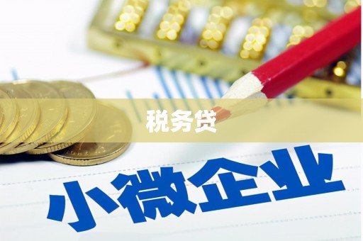 桦川税务贷