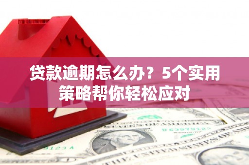 阿坝贷款逾期怎么办？5个实用策略帮你轻松应对
