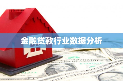 大悟金融贷款行业数据分析