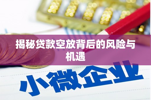 大树揭秘贷款空放背后的风险与机遇