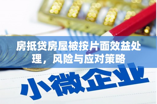 颍泉房抵贷房屋被按片面效益处理，风险与应对策略