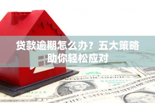 德保贷款逾期怎么办？五大策略助你轻松应对