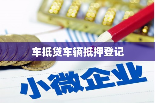 张家口车抵贷车辆抵押登记
