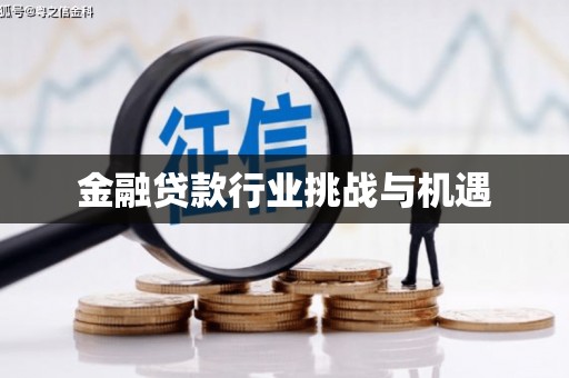 武清金融贷款行业挑战与机遇