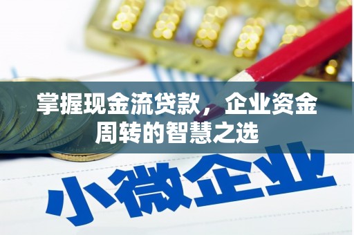 冈山掌握现金流贷款，企业资金周转的智慧之选