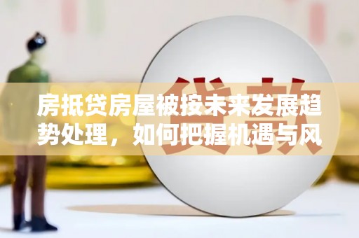 玛家房抵贷房屋被按未来发展趋势处理，如何把握机遇与风险？